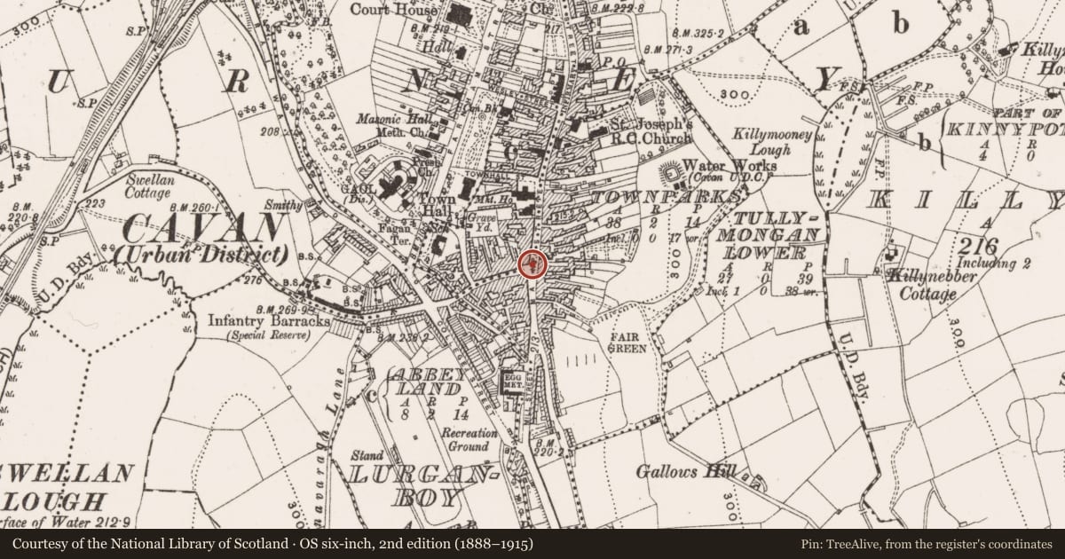 Ordnance Survey six-inch map, 2nd edition (1888–1915) covering the location of Cross - Market cross, Townparks (Cavan Urban District), Abbey Land, County Cavan, with a pin at the register's coordinates