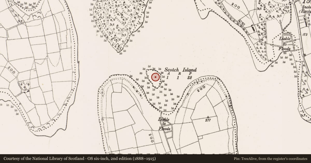Ordnance Survey six-inch map, 2nd edition (1888–1915) covering the location of Cairn - unclassified, Trinity Island, County Cavan, with a pin at the register's coordinates