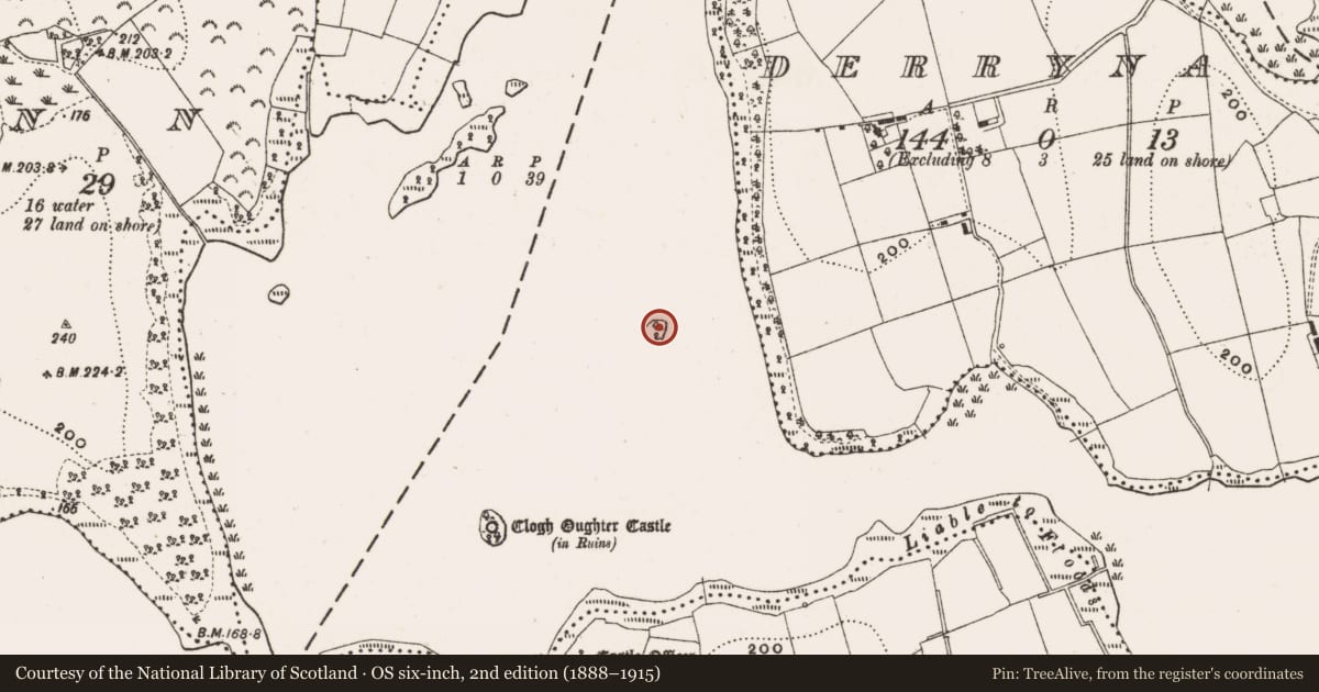 Ordnance Survey six-inch map, 2nd edition (1888–1915) covering the location of Crannog, Derryna, County Cavan, with a pin at the register's coordinates