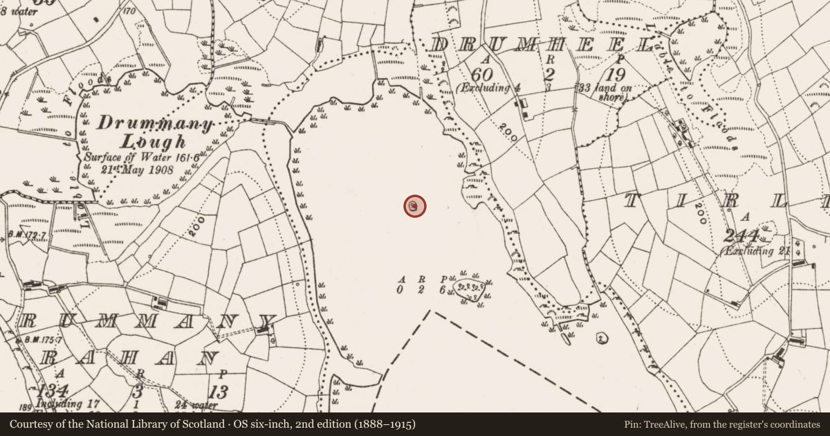 Ordnance Survey six-inch map, 2nd edition (1888–1915) covering the location of Crannog, Drumheel, County Cavan, with a pin at the register's coordinates
