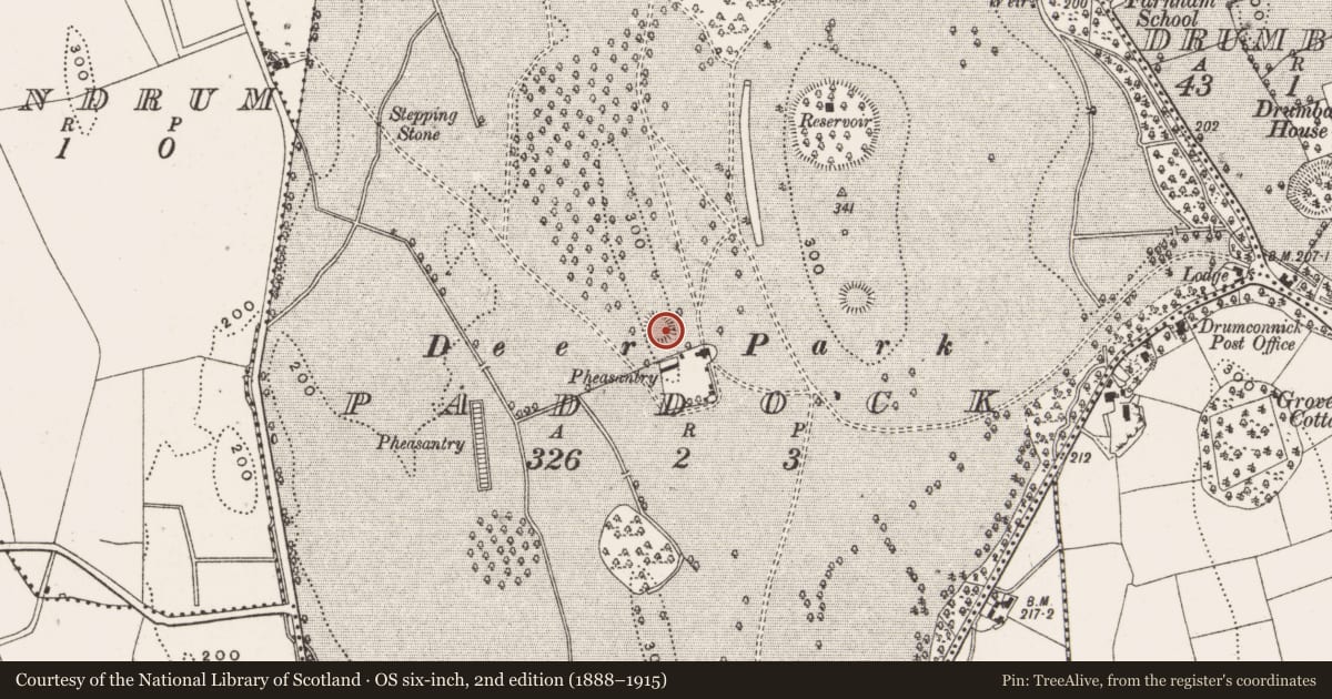 Ordnance Survey six-inch map, 2nd edition (1888–1915) covering the location of Ringfort - rath, Paddock, County Cavan, with a pin at the register's coordinates