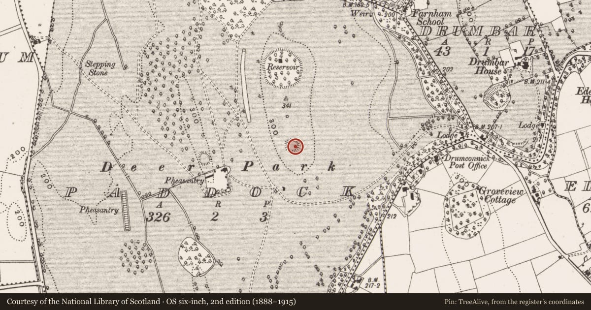 Ordnance Survey six-inch map, 2nd edition (1888–1915) covering the location of Ringfort - rath, Paddock, County Cavan, with a pin at the register's coordinates