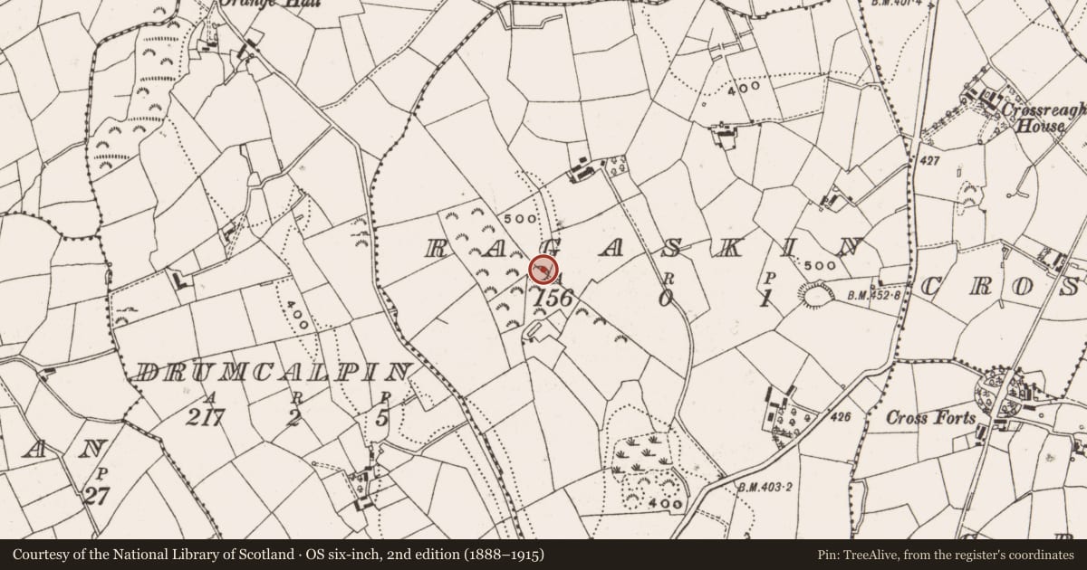 Ordnance Survey six-inch map, 2nd edition (1888–1915) covering the location of Ringfort - rath, Ragaskin, County Cavan, with a pin at the register's coordinates