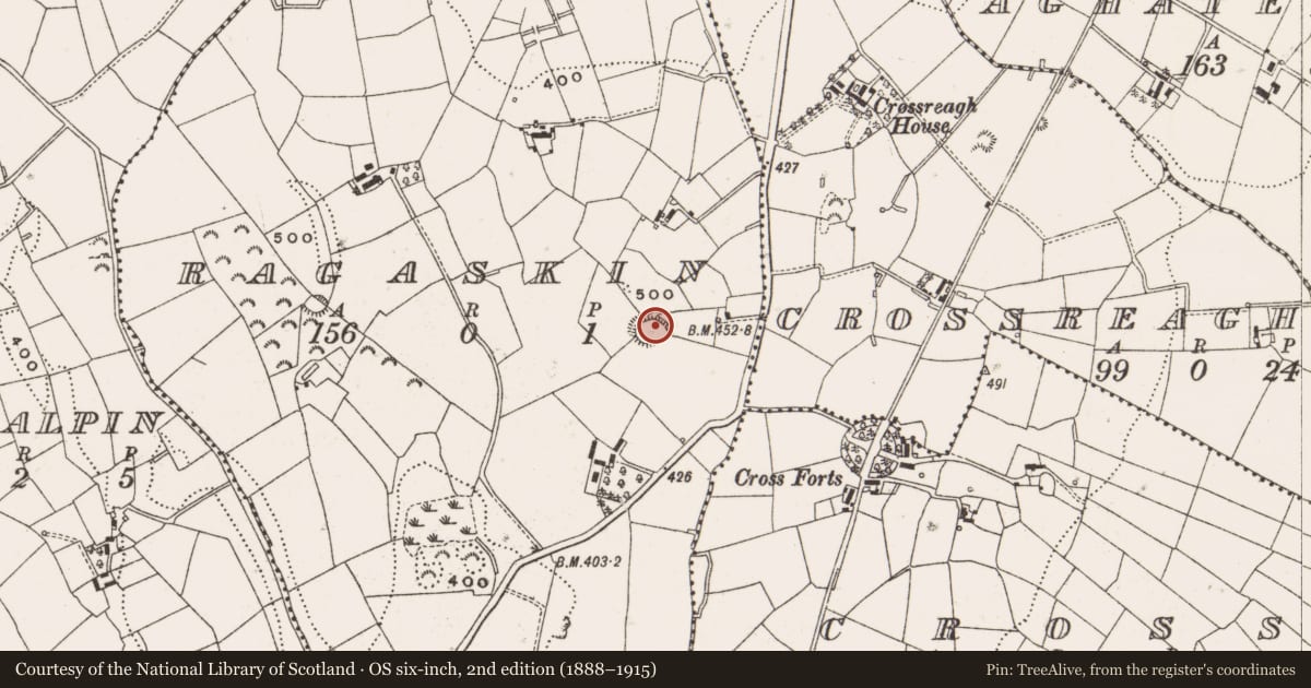 Ordnance Survey six-inch map, 2nd edition (1888–1915) covering the location of Ringfort - rath, Ragaskin, County Cavan, with a pin at the register's coordinates