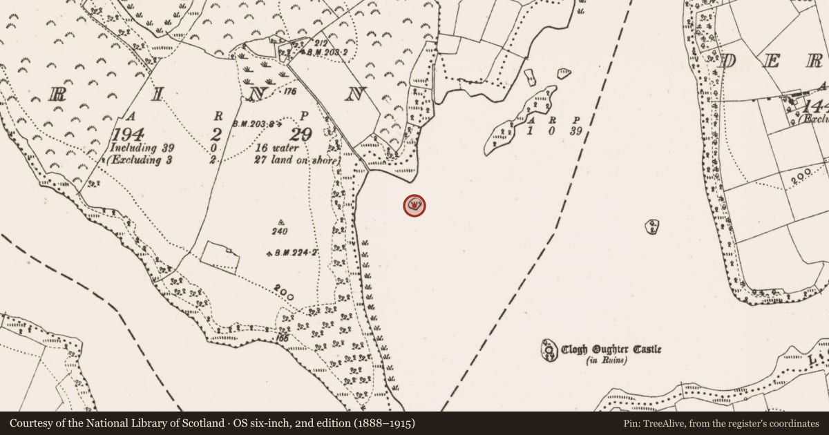 Ordnance Survey six-inch map, 2nd edition (1888–1915) covering the location of Crannog, Rinn, County Cavan, with a pin at the register's coordinates