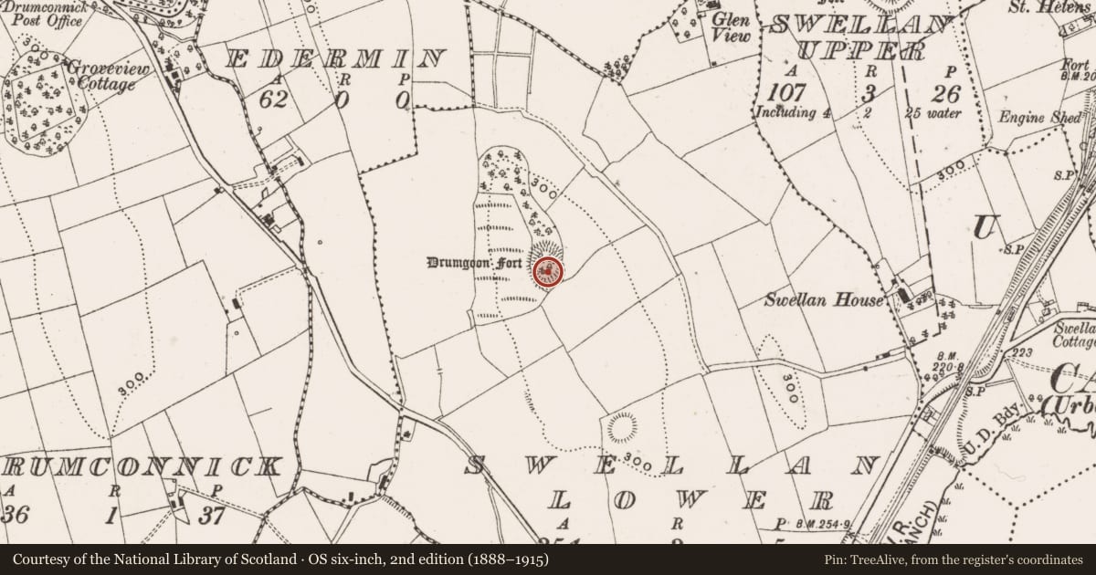 Ordnance Survey six-inch map, 2nd edition (1888–1915) covering the location of Ringfort - rath, Swellan Lower, County Cavan, with a pin at the register's coordinates