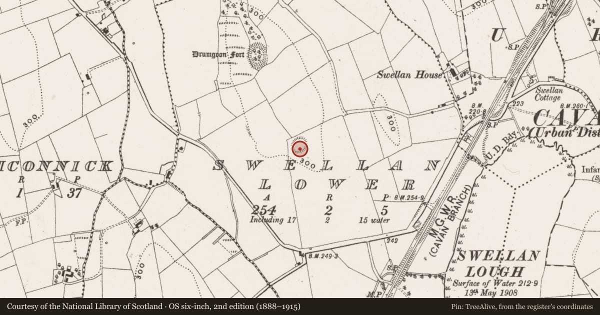 Ordnance Survey six-inch map, 2nd edition (1888–1915) covering the location of Ringfort - rath, Swellan Lower, County Cavan, with a pin at the register's coordinates