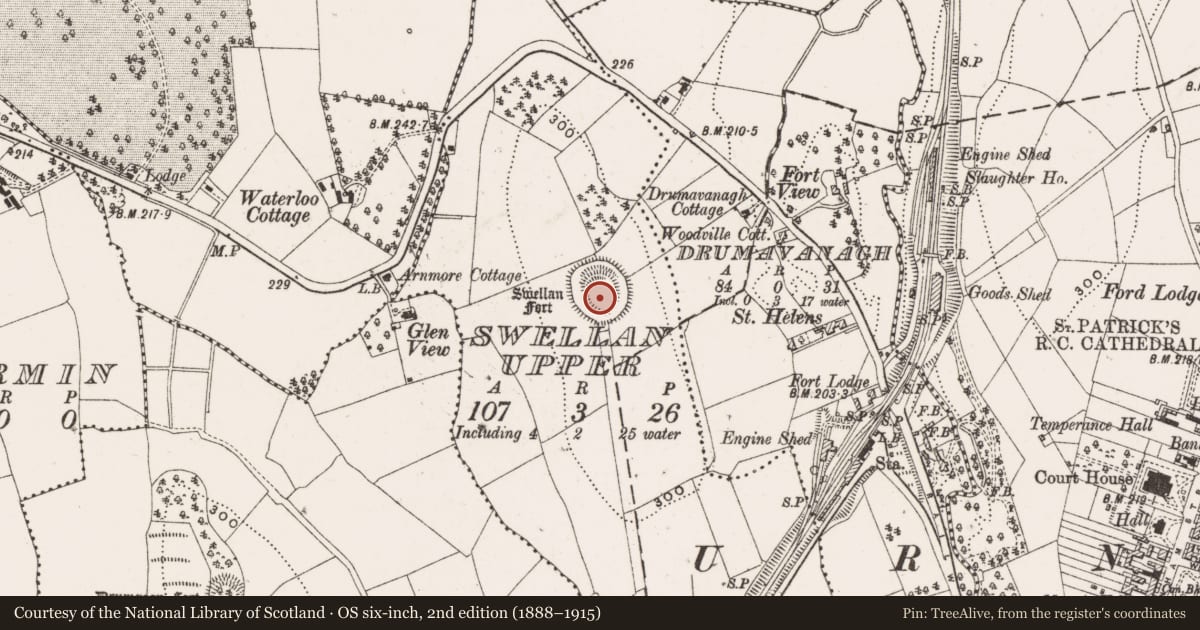 Ordnance Survey six-inch map, 2nd edition (1888–1915) covering the location of Ringfort - rath, Swellan Upper, County Cavan, with a pin at the register's coordinates