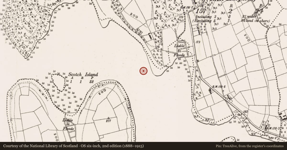 Ordnance Survey six-inch map, 2nd edition (1888–1915) covering the location of Crannog, Lough Oughter, County Cavan, with a pin at the register's coordinates