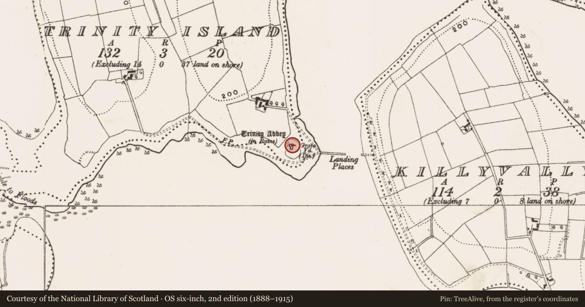 Ordnance Survey six-inch map, 2nd edition (1888–1915) covering the location of Religious house - Premonstratensian canons, Trinity Island, County Cavan, with a pin at the register's coordinates