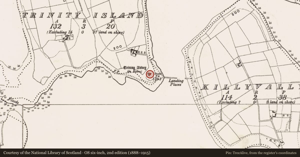Ordnance Survey six-inch map, 2nd edition (1888–1915) covering the location of Stone head, Trinity Island, County Cavan, with a pin at the register's coordinates