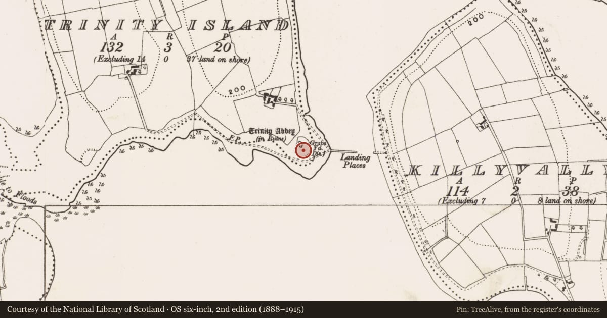 Ordnance Survey six-inch map, 2nd edition (1888–1915) covering the location of Graveyard, Trinity Island, County Cavan, with a pin at the register's coordinates