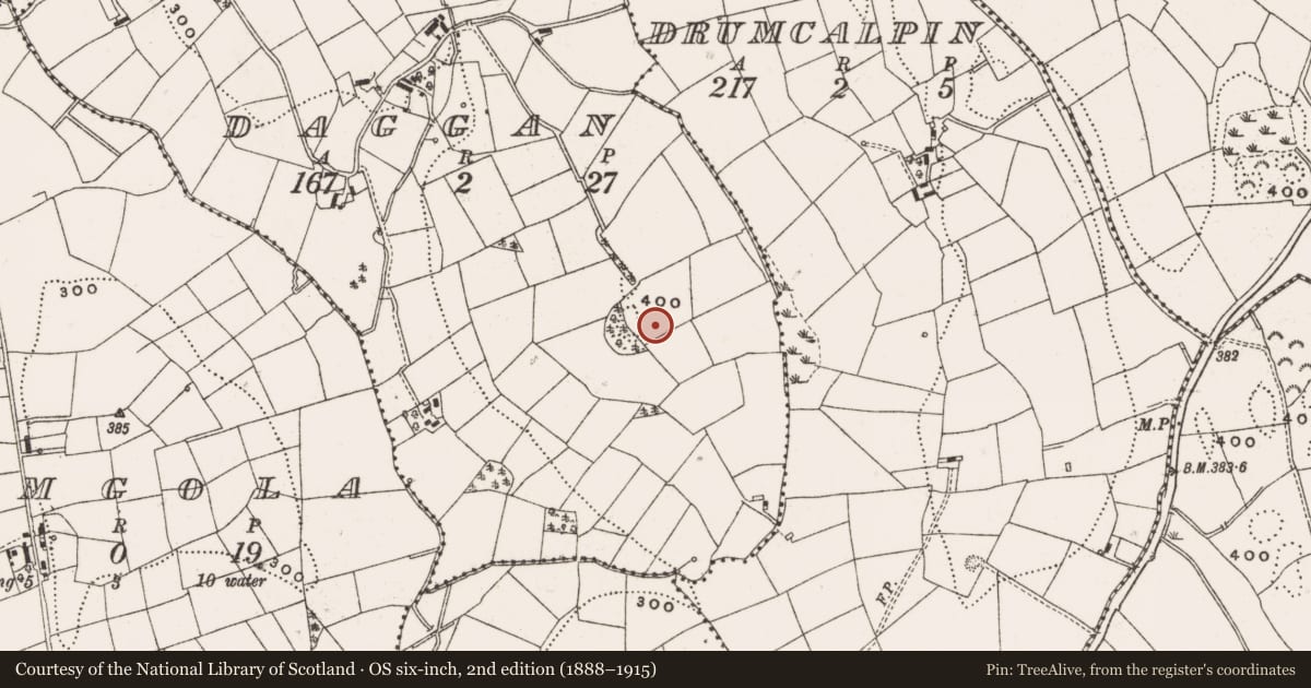 Ordnance Survey six-inch map, 2nd edition (1888–1915) covering the location of Children's burial ground, Daggan, County Cavan, with a pin at the register's coordinates