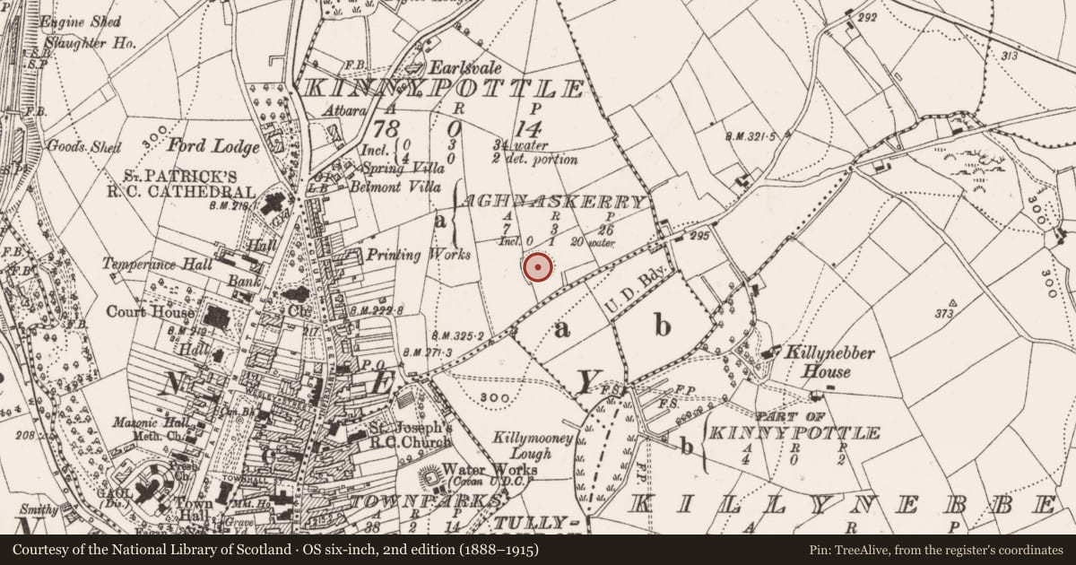 Ordnance Survey six-inch map, 2nd edition (1888–1915) covering the location of Ringfort - rath, Kinnypottle, County Cavan, with a pin at the register's coordinates