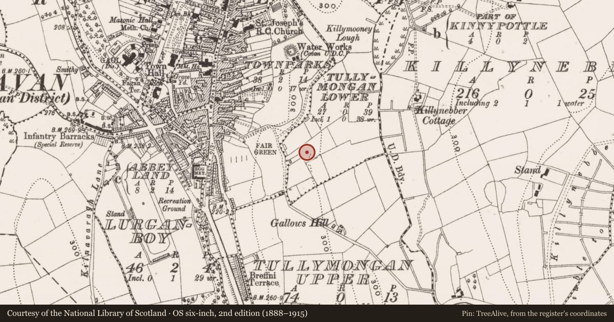 Ordnance Survey six-inch map, 2nd edition (1888–1915) covering the location of Ring-ditch, Tullymongan Lower, County Cavan, with a pin at the register's coordinates
