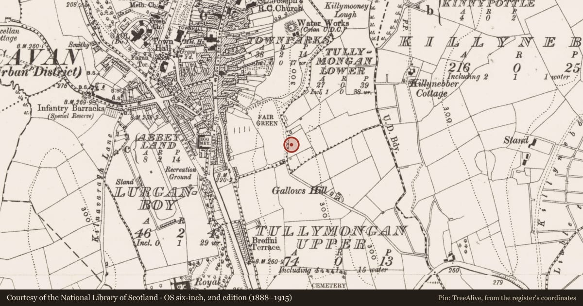 Ordnance Survey six-inch map, 2nd edition (1888–1915) covering the location of Burnt mound, Tullymongan Lower, County Cavan, with a pin at the register's coordinates