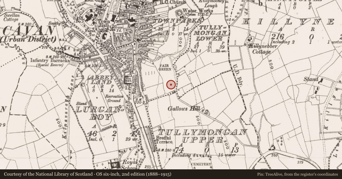 Ordnance Survey six-inch map, 2nd edition (1888–1915) covering the location of Ringfort - rath, Townparks (Cavan Urban District), County Cavan, with a pin at the register's coordinates