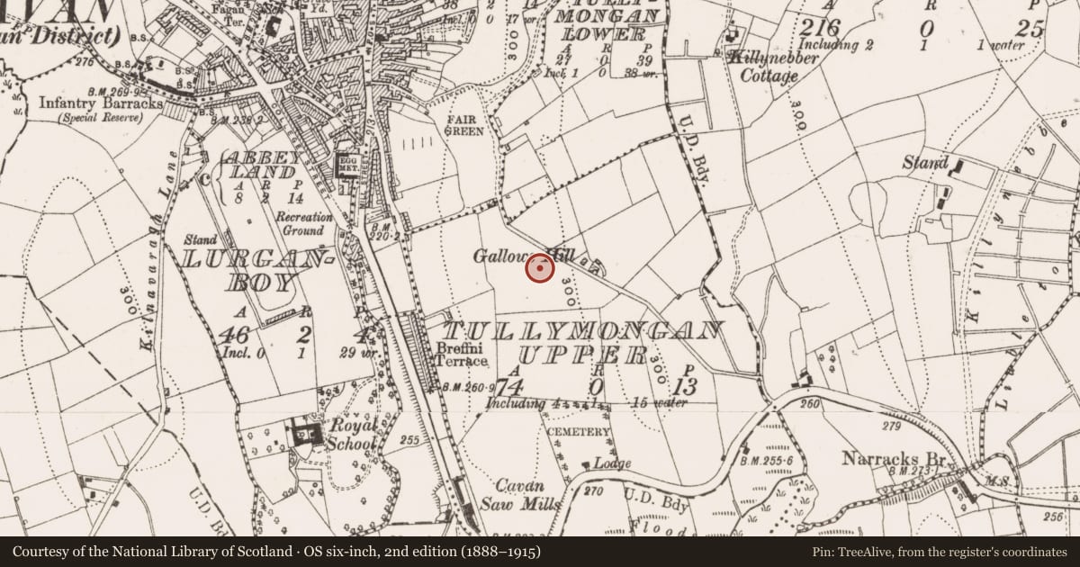 Ordnance Survey six-inch map, 2nd edition (1888–1915) covering the location of Battlefield, Tullymongan Lower, Tullymongan Upper, County Cavan, with a pin at the register's coordinates