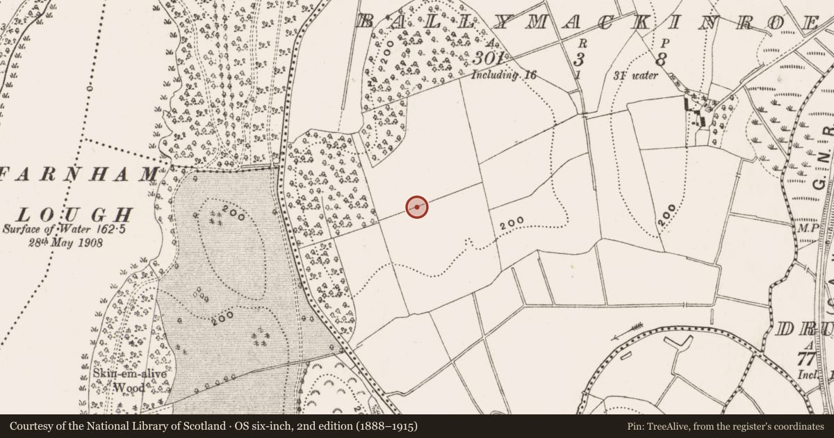 Ordnance Survey six-inch map, 2nd edition (1888–1915) covering the location of Enclosure, Ballymackinroe, County Cavan, with a pin at the register's coordinates