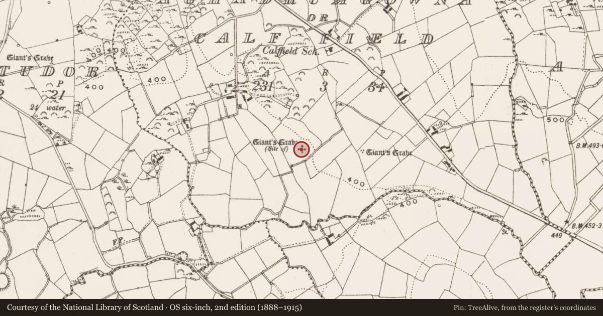 Ordnance Survey six-inch map, 2nd edition (1888–1915) covering the location of Megalithic structure, Aghadrumgowna Or Calf Field, County Cavan, with a pin at the register's coordinates