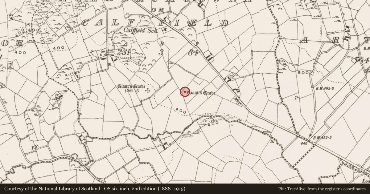 Ordnance Survey six-inch map, 2nd edition (1888–1915) covering the location of Megalithic tomb - wedge tomb, Aghadrumgowna Or Calf Field, County Cavan, with a pin at the register's coordinates