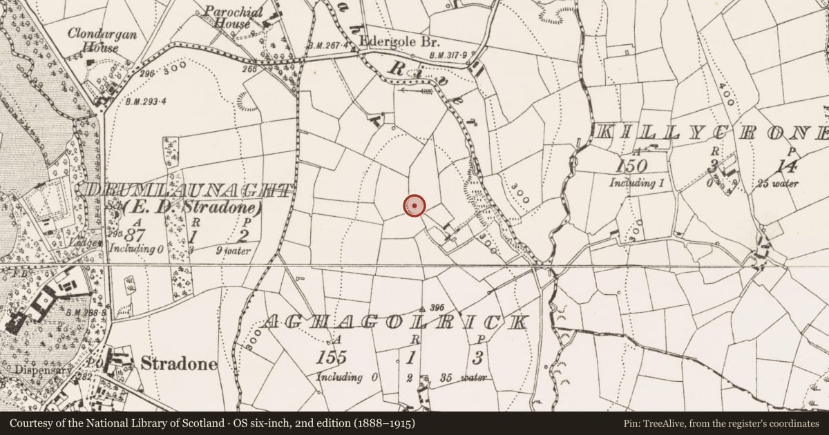 Ordnance Survey six-inch map, 2nd edition (1888–1915) covering the location of Ringfort - rath, Aghagolrick, County Cavan, with a pin at the register's coordinates