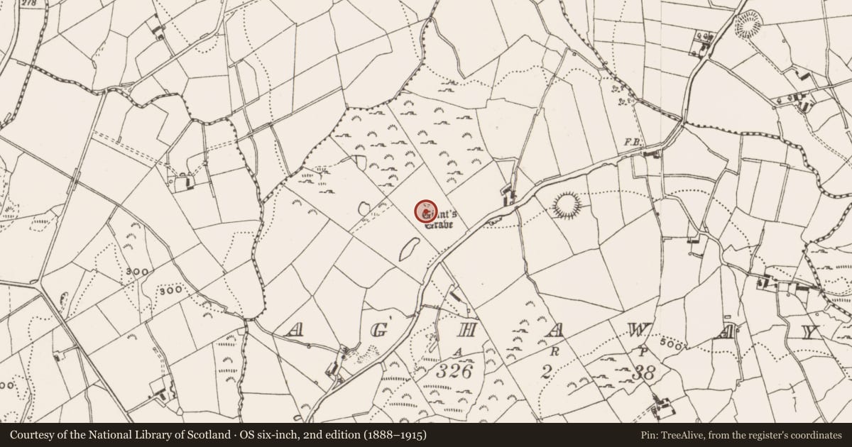 Ordnance Survey six-inch map, 2nd edition (1888–1915) covering the location of Megalithic structure, Aghaway, County Cavan, with a pin at the register's coordinates