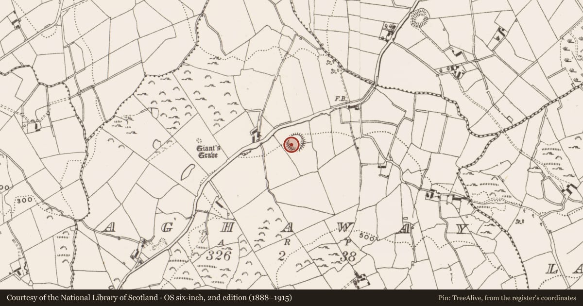 Ordnance Survey six-inch map, 2nd edition (1888–1915) covering the location of Ringfort - rath, Aghaway, County Cavan, with a pin at the register's coordinates