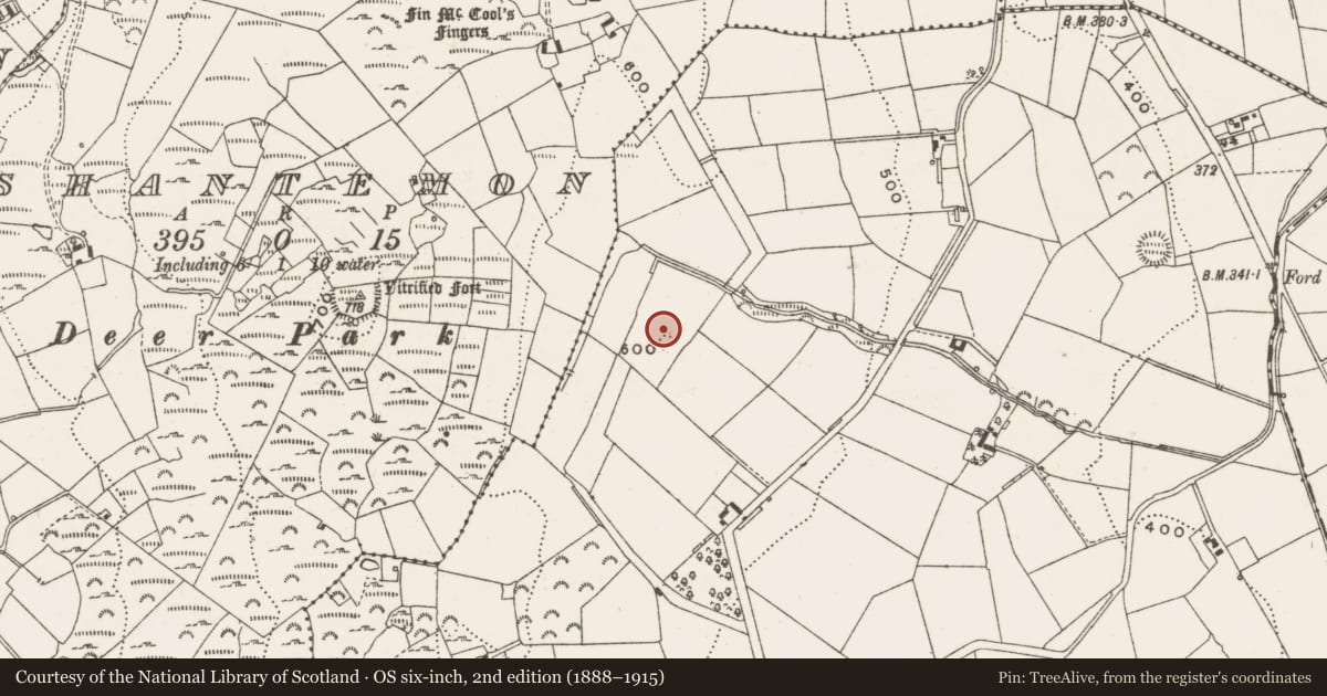 Ordnance Survey six-inch map, 2nd edition (1888–1915) covering the location of Ringfort - rath, Clonervy, County Cavan, with a pin at the register's coordinates