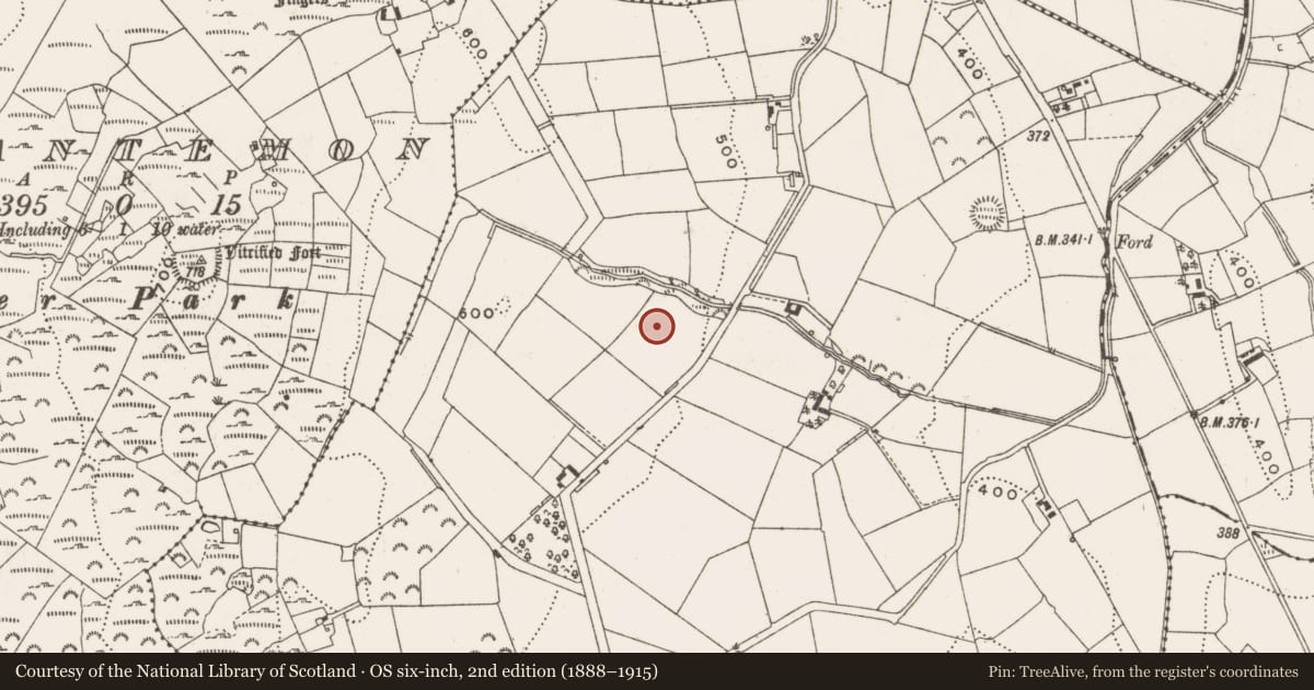 Ordnance Survey six-inch map, 2nd edition (1888–1915) covering the location of Ringfort - rath, Clonervy, County Cavan, with a pin at the register's coordinates