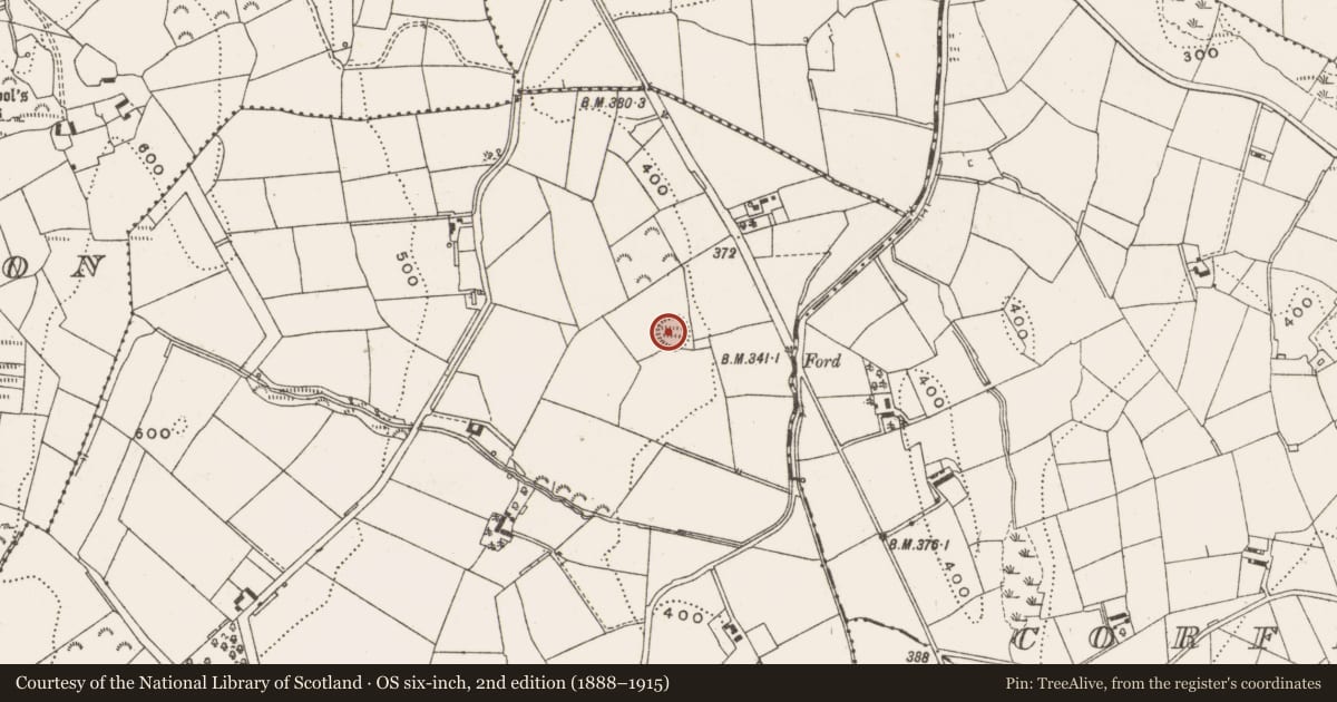 Ordnance Survey six-inch map, 2nd edition (1888–1915) covering the location of Ringfort - rath, Clonervy, County Cavan, with a pin at the register's coordinates