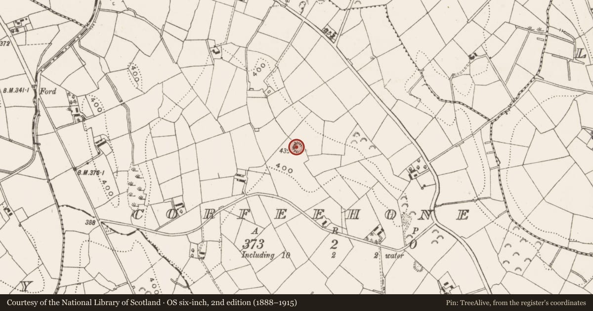 Ordnance Survey six-inch map, 2nd edition (1888–1915) covering the location of Ringfort - rath, Corfeehone, County Cavan, with a pin at the register's coordinates