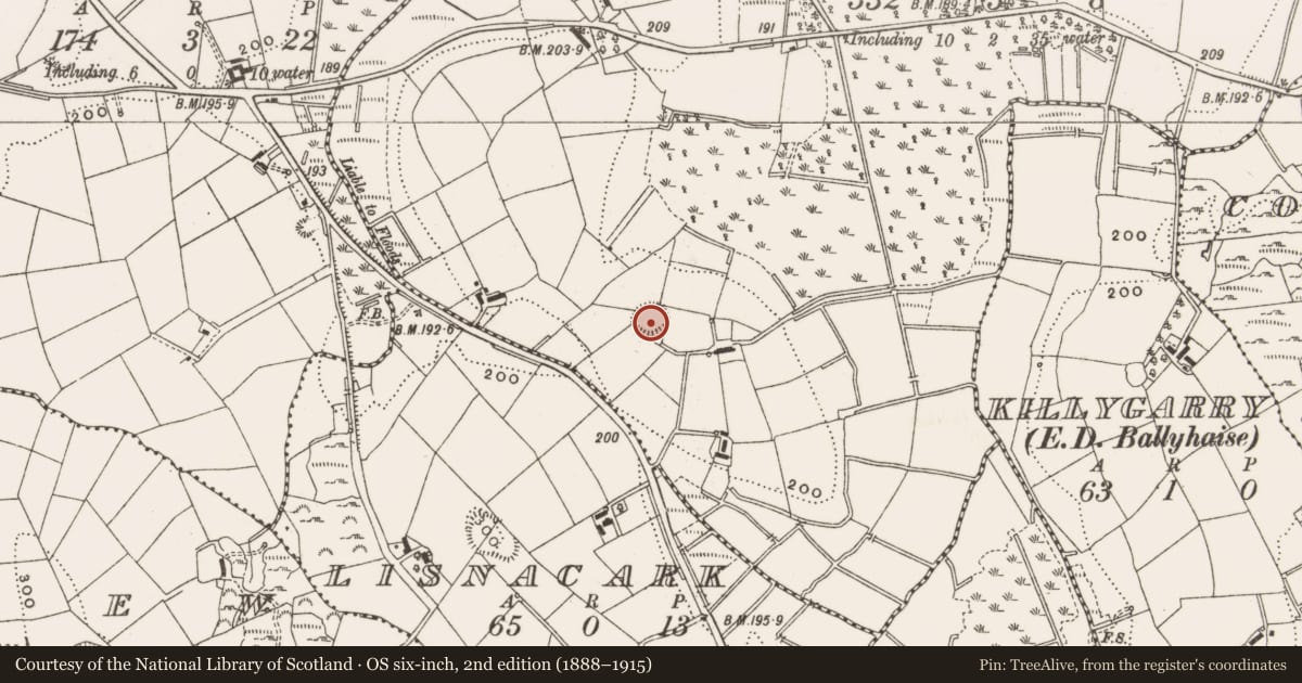 Ordnance Survey six-inch map, 2nd edition (1888–1915) covering the location of Ringfort - rath, Corgarve, County Cavan, with a pin at the register's coordinates