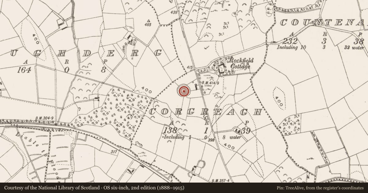 Ordnance Survey six-inch map, 2nd edition (1888–1915) covering the location of Ringfort - rath, Corgreagh, County Cavan, with a pin at the register's coordinates