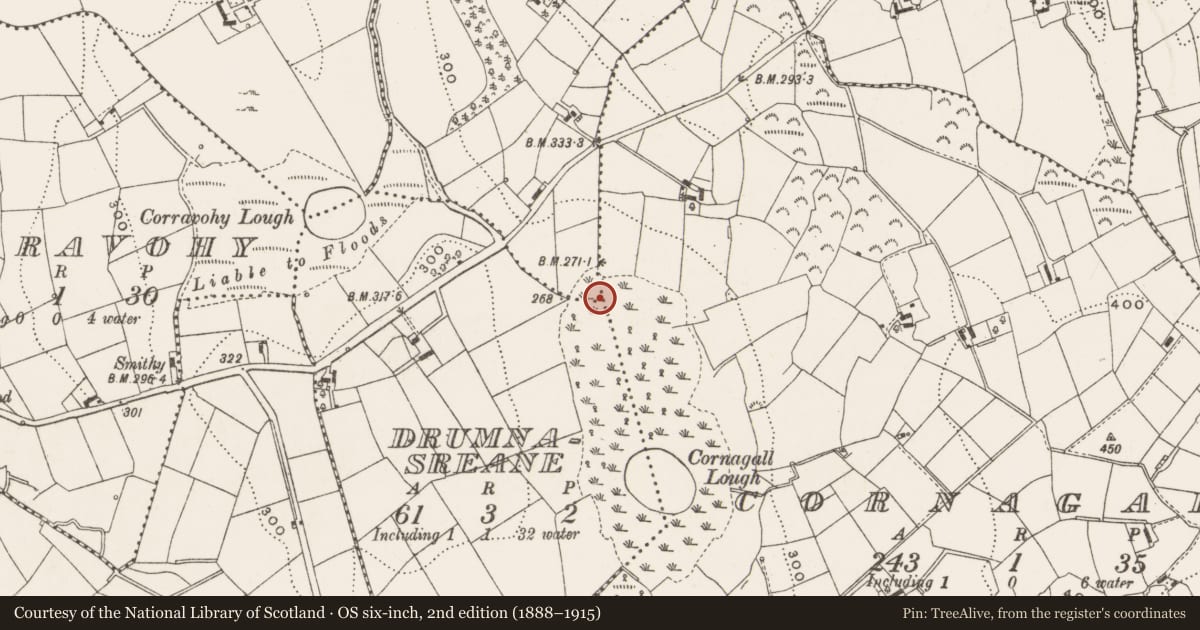 Ordnance Survey six-inch map, 2nd edition (1888–1915) covering the location of Crannog, Cornagall, County Cavan, with a pin at the register's coordinates