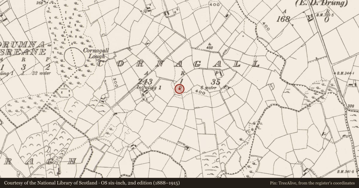 Ordnance Survey six-inch map, 2nd edition (1888–1915) covering the location of Ringfort - rath, Cornagall, County Cavan, with a pin at the register's coordinates