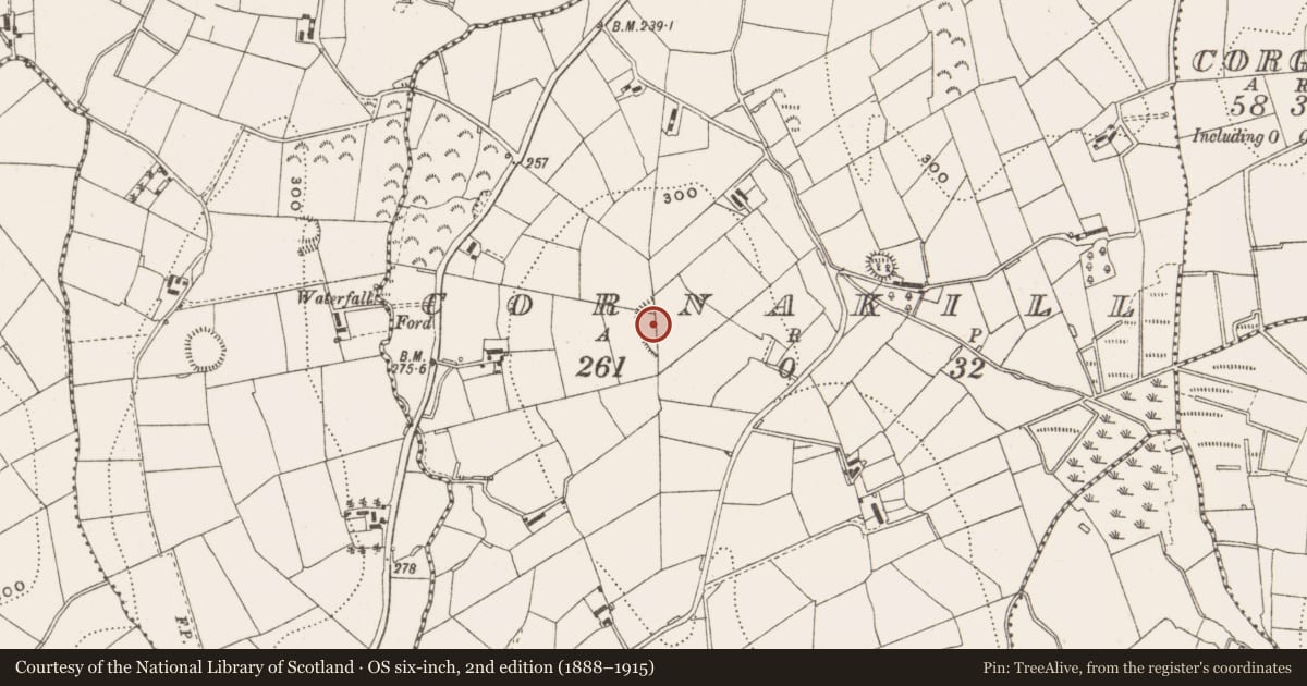 Ordnance Survey six-inch map, 2nd edition (1888–1915) covering the location of Ringfort - rath, Cornakill, County Cavan, with a pin at the register's coordinates
