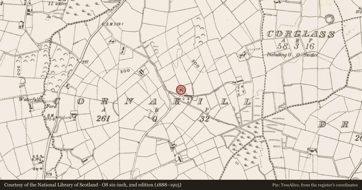 Ordnance Survey six-inch map, 2nd edition (1888–1915) covering the location of Ringfort - rath, Cornakill, County Cavan, with a pin at the register's coordinates