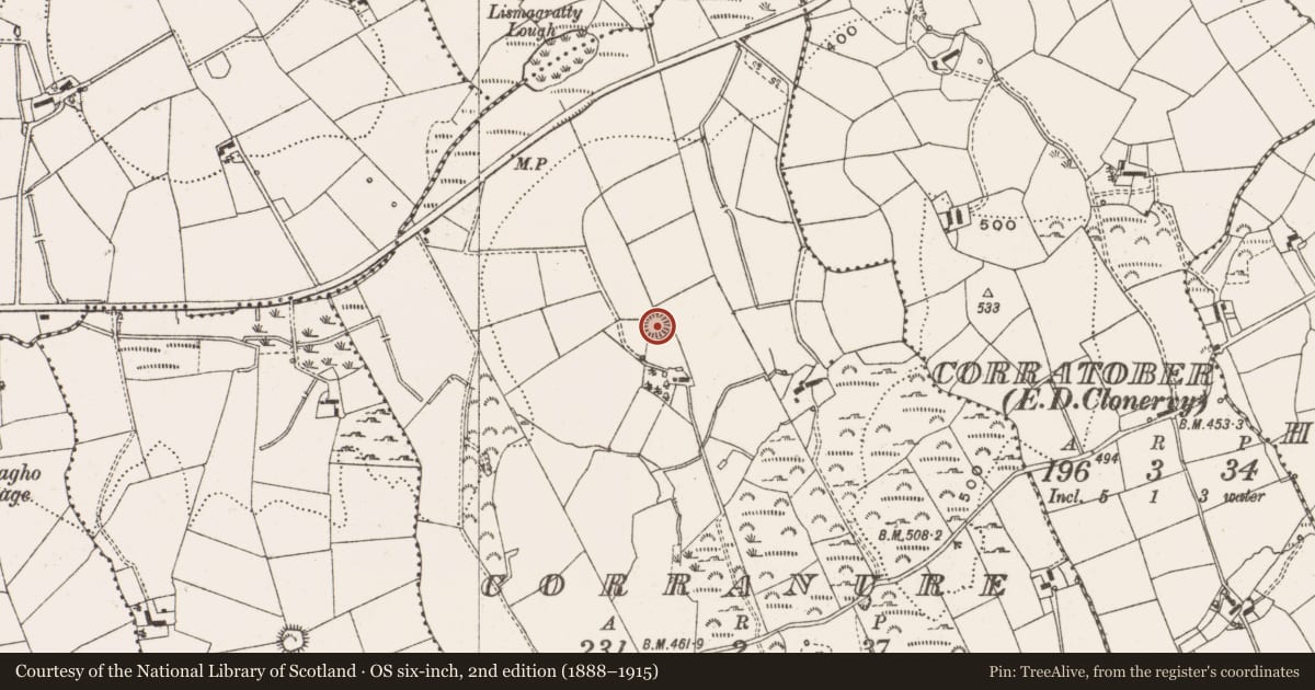 Ordnance Survey six-inch map, 2nd edition (1888–1915) covering the location of Ringfort - rath, Corranure, County Cavan, with a pin at the register's coordinates