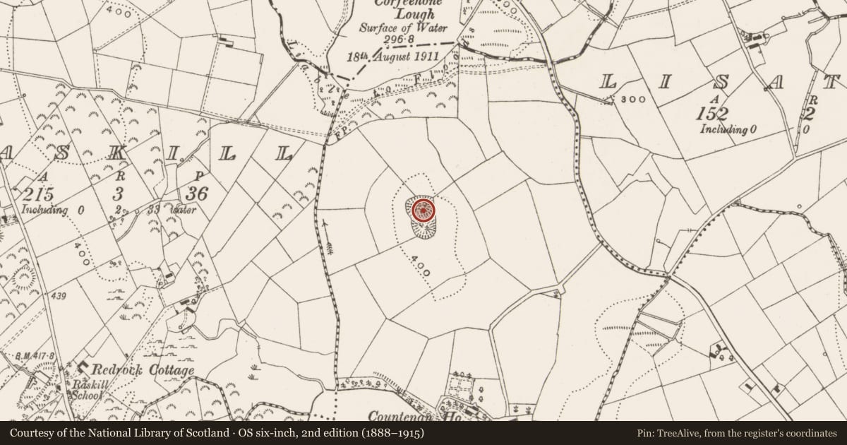 Ordnance Survey six-inch map, 2nd edition (1888–1915) covering the location of Ringfort - rath, Countenan, County Cavan, with a pin at the register's coordinates