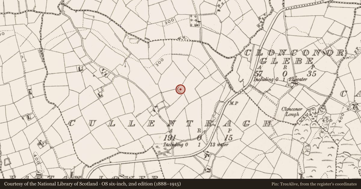 Ordnance Survey six-inch map, 2nd edition (1888–1915) covering the location of Ringfort - rath, Cullentragh, County Cavan, with a pin at the register's coordinates