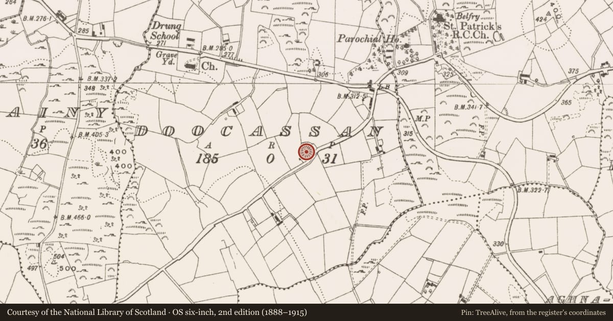 Ordnance Survey six-inch map, 2nd edition (1888–1915) covering the location of Ringfort - rath, Doocassan, County Cavan, with a pin at the register's coordinates
