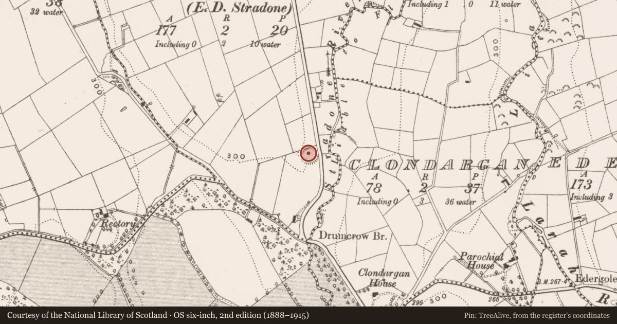 Ordnance Survey six-inch map, 2nd edition (1888–1915) covering the location of Ringfort - rath, Drumcrow, County Cavan, with a pin at the register's coordinates