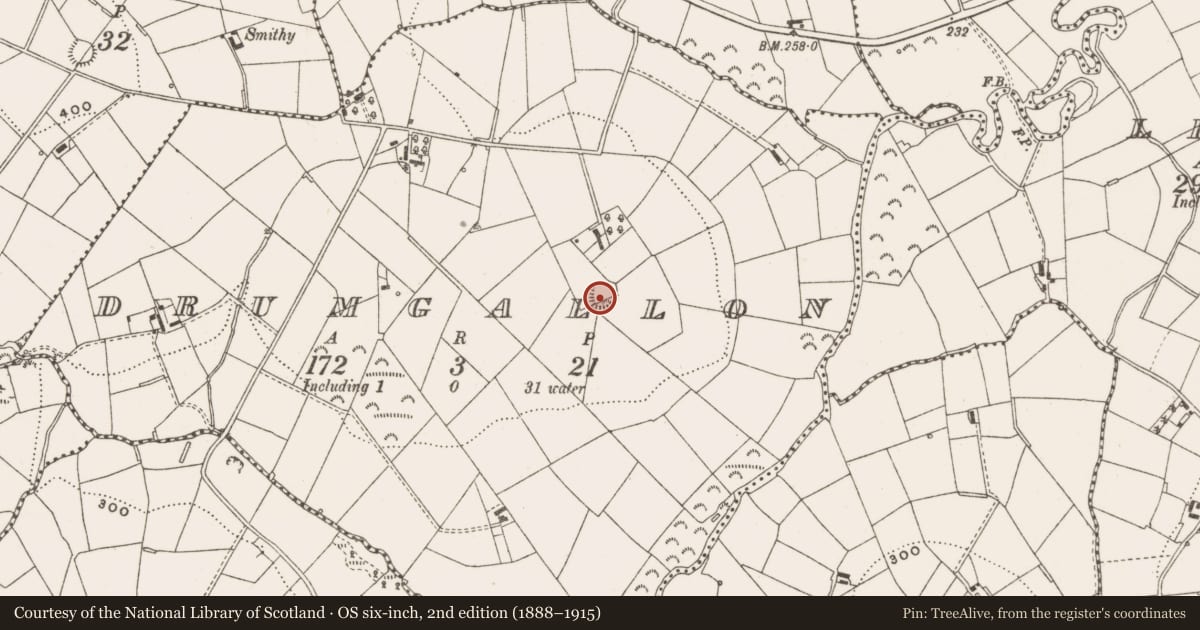 Ordnance Survey six-inch map, 2nd edition (1888–1915) covering the location of Ringfort - rath, Drumgallon, County Cavan, with a pin at the register's coordinates
