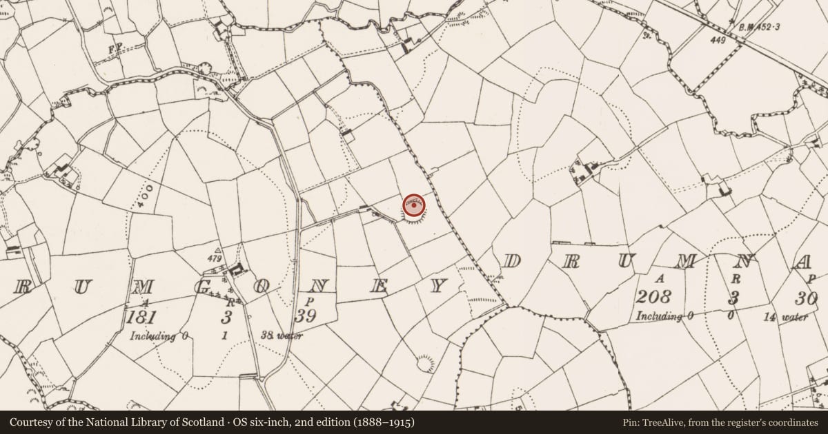Ordnance Survey six-inch map, 2nd edition (1888–1915) covering the location of Ringfort - rath, Drumgoney, County Cavan, with a pin at the register's coordinates