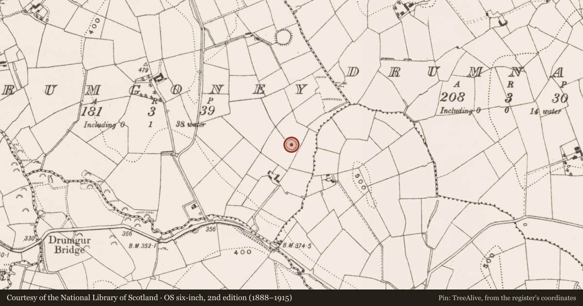 Ordnance Survey six-inch map, 2nd edition (1888–1915) covering the location of Ringfort - rath, Drumgoney, County Cavan, with a pin at the register's coordinates