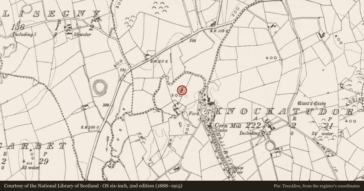Ordnance Survey six-inch map, 2nd edition (1888–1915) covering the location of Ringfort - rath, Drumhallagh, County Cavan, with a pin at the register's coordinates