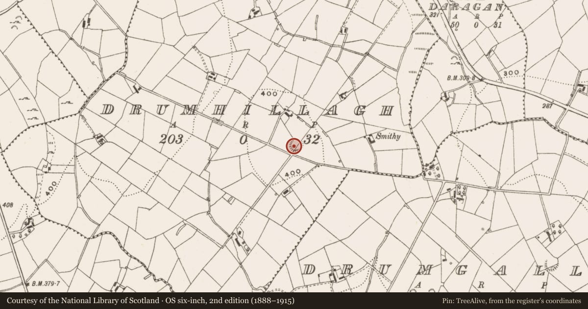 Ordnance Survey six-inch map, 2nd edition (1888–1915) covering the location of Ringfort - rath, Drumhillagh, County Cavan, with a pin at the register's coordinates