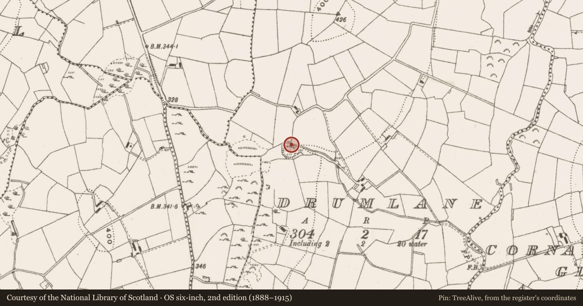 Ordnance Survey six-inch map, 2nd edition (1888–1915) covering the location of Ringfort - rath, Drumlane, County Cavan, with a pin at the register's coordinates