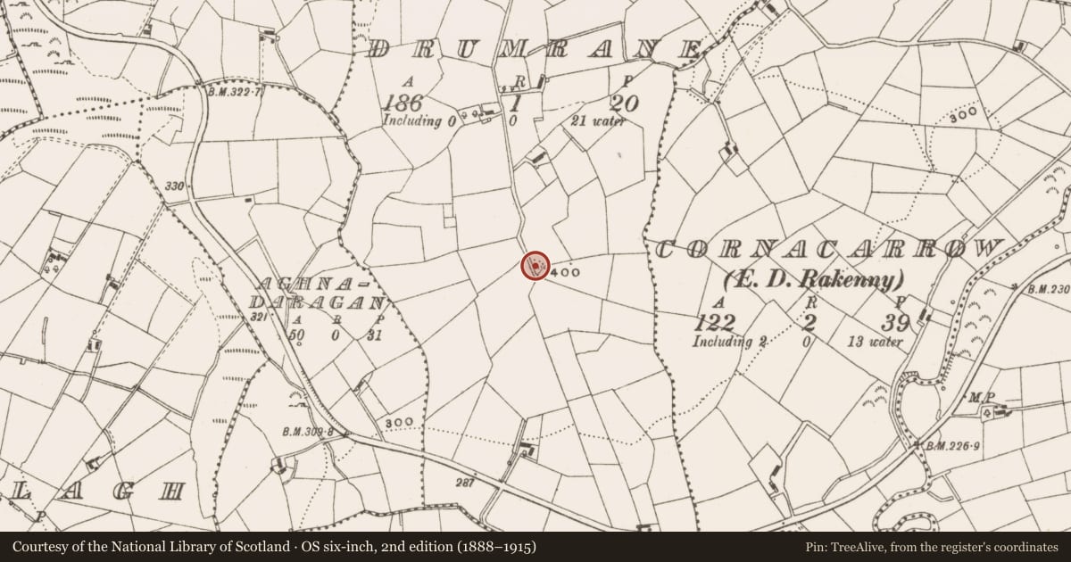 Ordnance Survey six-inch map, 2nd edition (1888–1915) covering the location of Ringfort - rath, Drumrane, County Cavan, with a pin at the register's coordinates